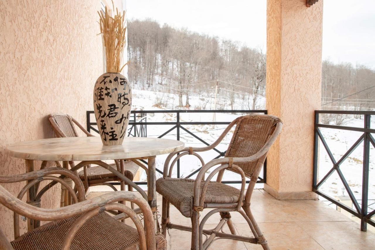 Отель Princess Hotel Bakuriani Bakurianis Andeziti-4