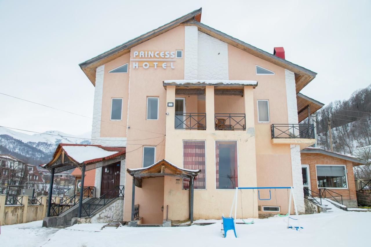 Отель Princess Hotel Bakuriani Bakurianis Andeziti-13