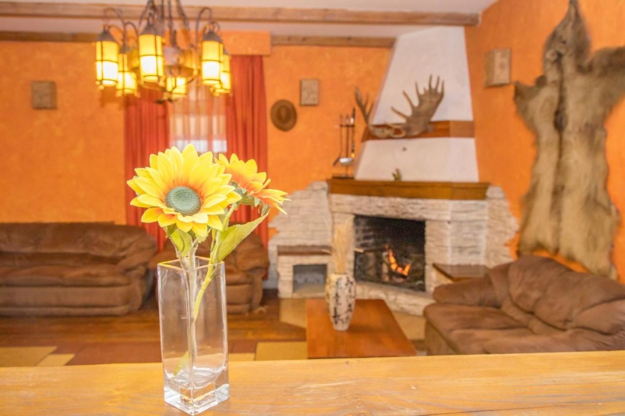 Отель Princess Hotel Bakuriani Bakurianis Andeziti-25