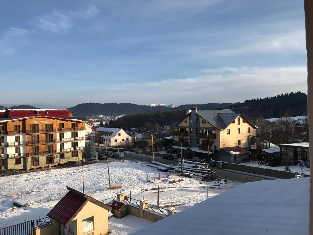 Отель Princess Hotel Bakuriani Bakurianis Andeziti-26