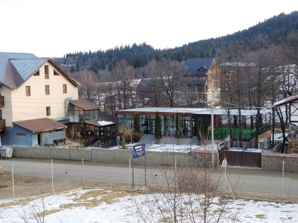 Отель Princess Hotel Bakuriani Bakurianis Andeziti