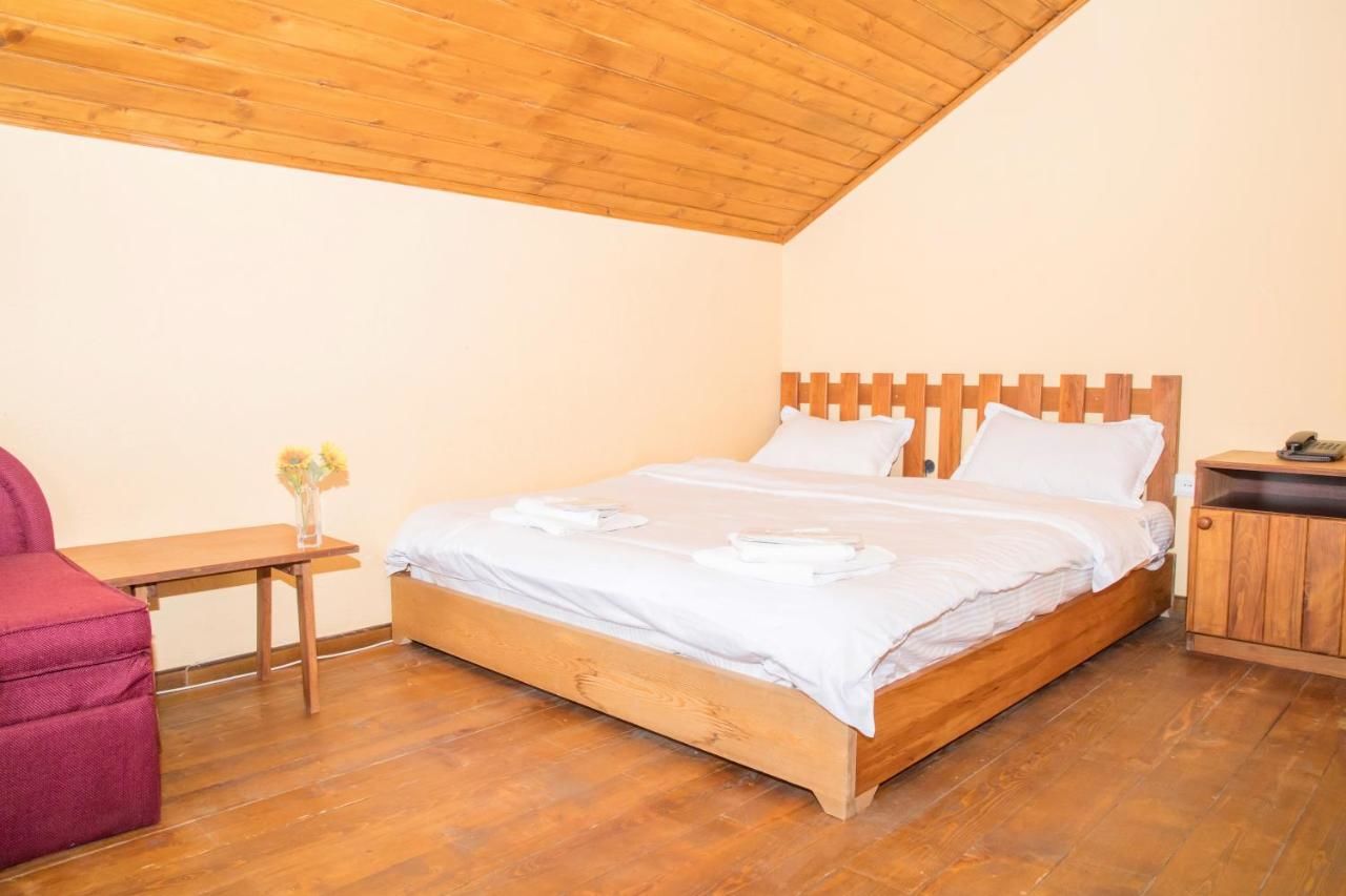 Отель Princess Hotel Bakuriani Bakurianis Andeziti-34