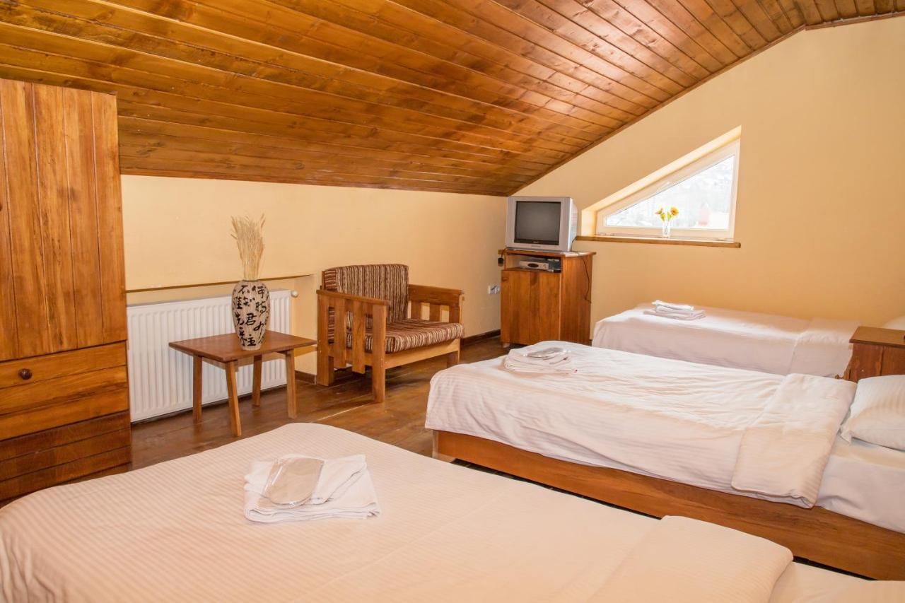 Отель Princess Hotel Bakuriani Bakurianis Andeziti-35