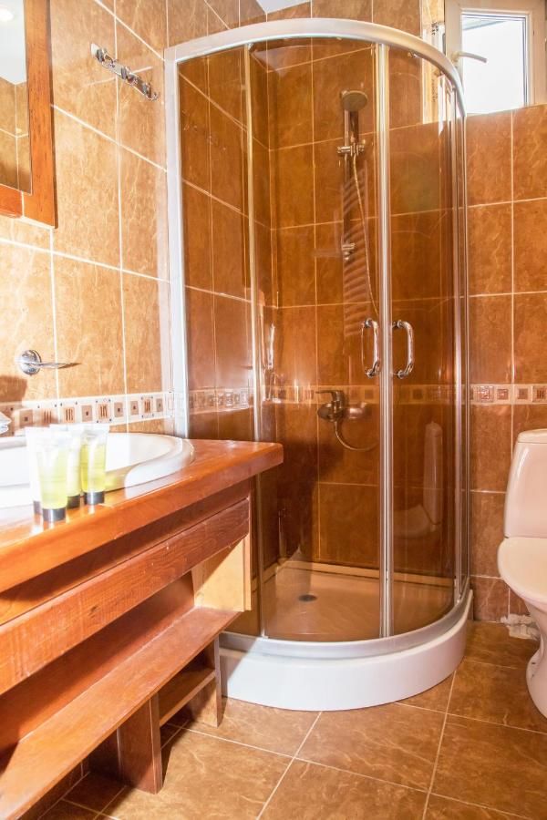 Отель Princess Hotel Bakuriani Bakurianis Andeziti-36