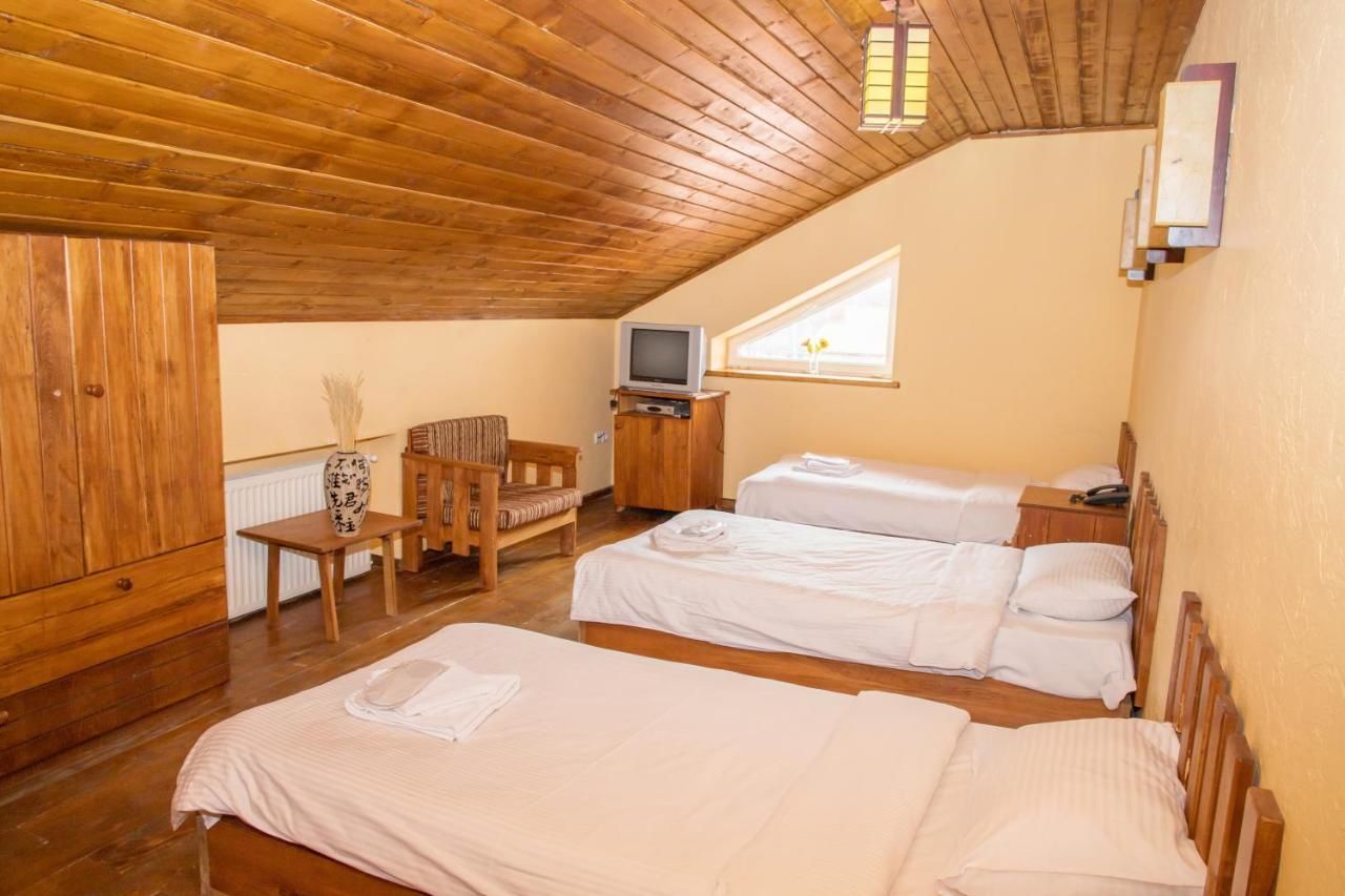 Отель Princess Hotel Bakuriani Bakurianis Andeziti-37