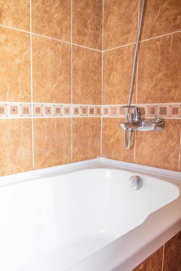 Отель Princess Hotel Bakuriani Bakurianis Andeziti