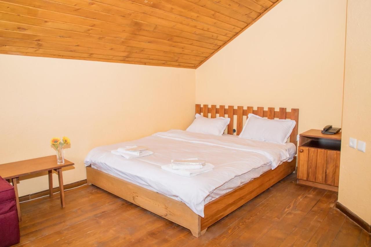 Отель Princess Hotel Bakuriani Bakurianis Andeziti-42