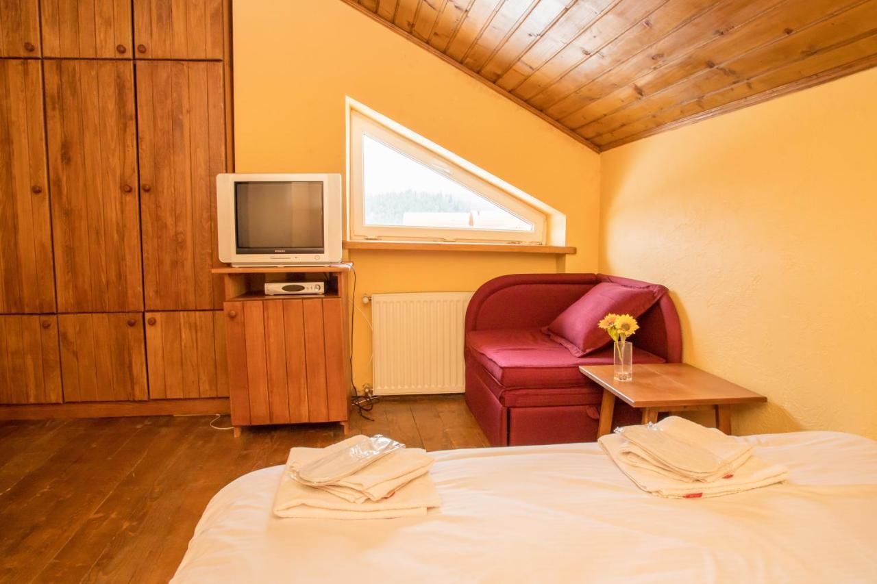 Отель Princess Hotel Bakuriani Bakurianis Andeziti-45