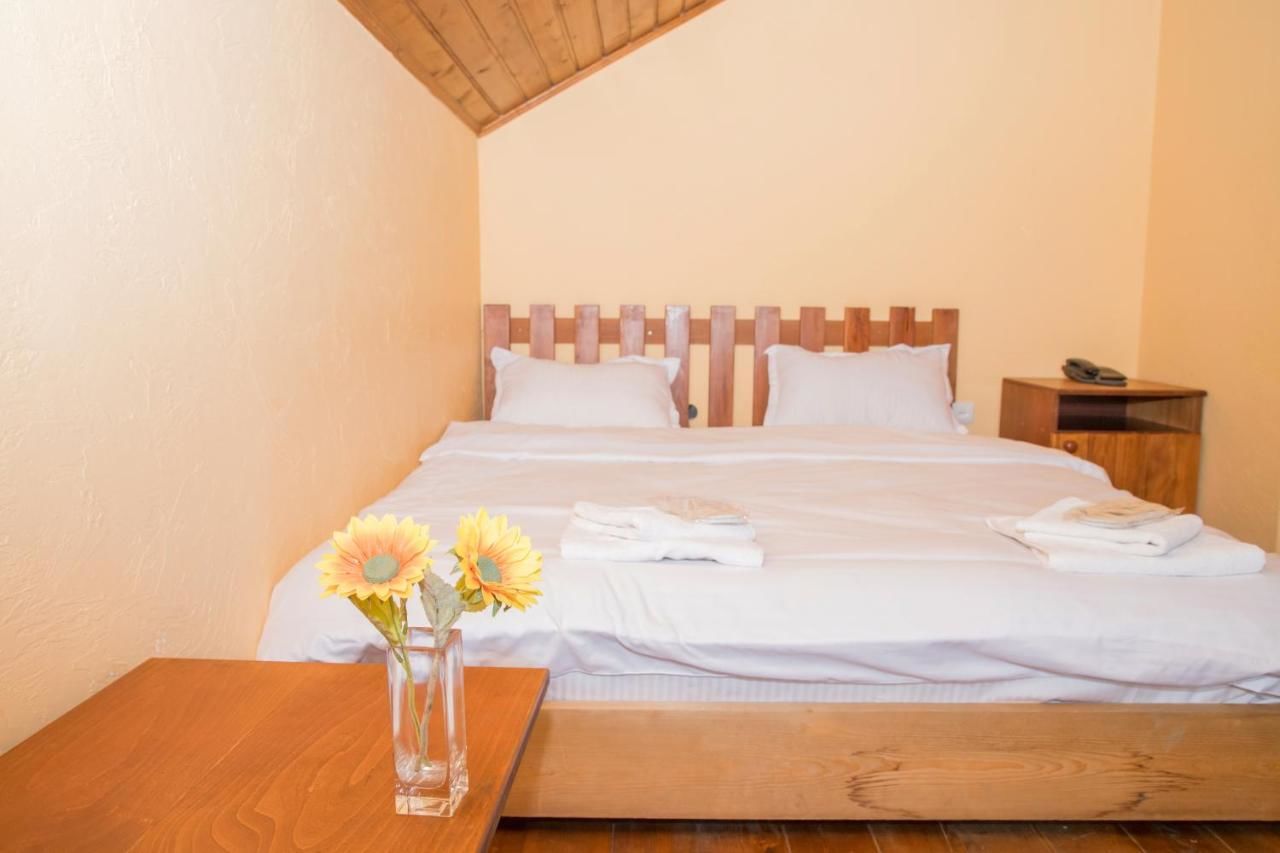 Отель Princess Hotel Bakuriani Bakurianis Andeziti-46