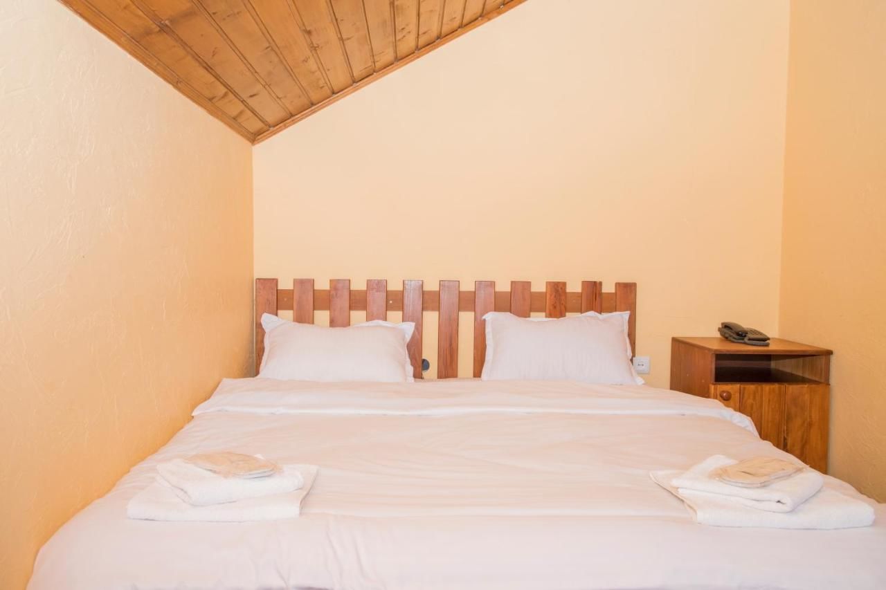 Отель Princess Hotel Bakuriani Bakurianis Andeziti-47