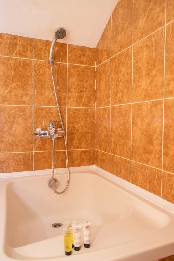 Отель Princess Hotel Bakuriani Bakurianis Andeziti-48
