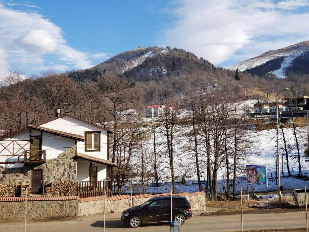Отель Princess Hotel Bakuriani Bakurianis Andeziti-49