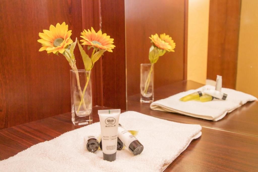 Отель Princess Hotel Bakuriani Bakurianis Andeziti-54
