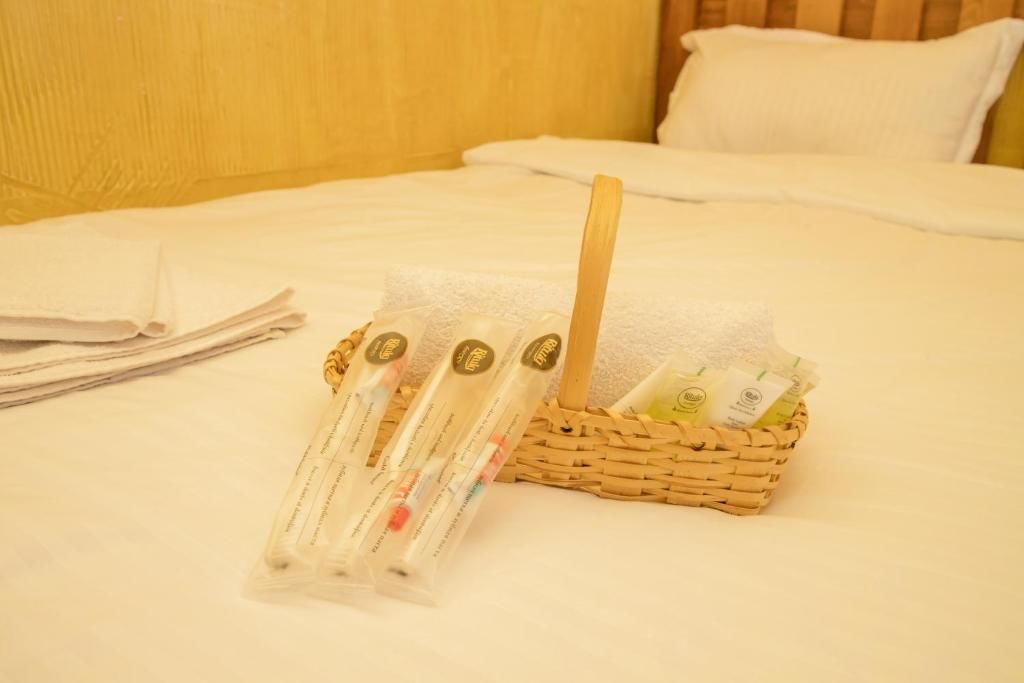 Отель Princess Hotel Bakuriani Bakurianis Andeziti-55
