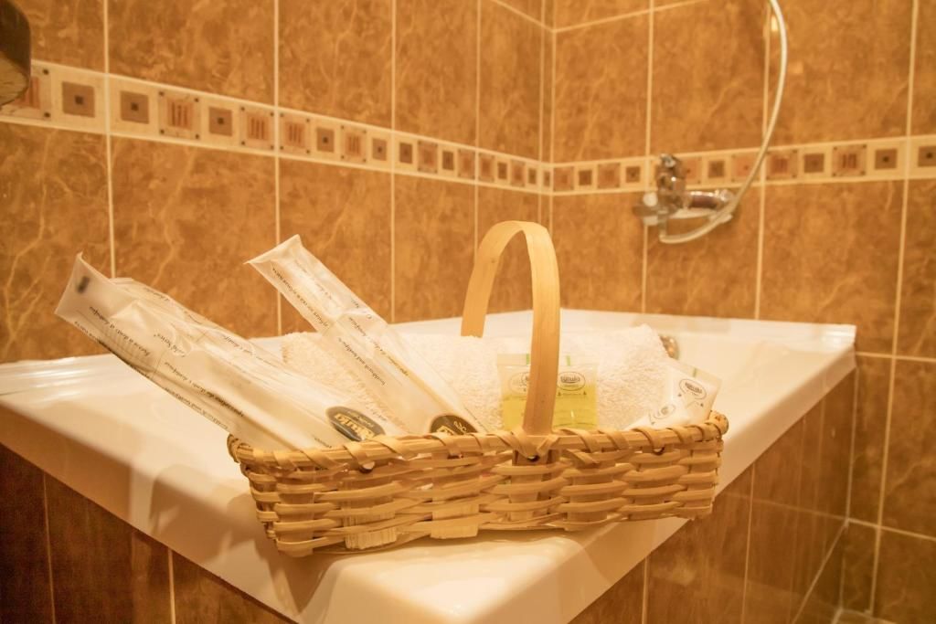 Отель Princess Hotel Bakuriani Bakurianis Andeziti-56