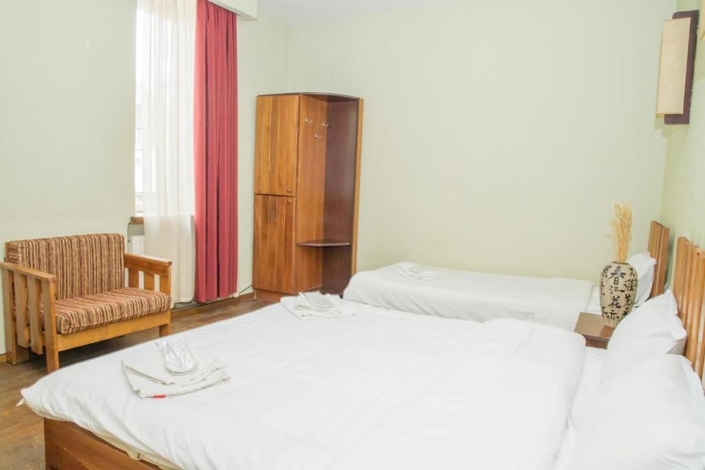 Отель Princess Hotel Bakuriani Bakurianis Andeziti-58